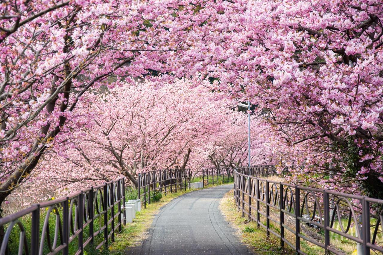 Zen No Yu Hotel Kawazu Luaran gambar