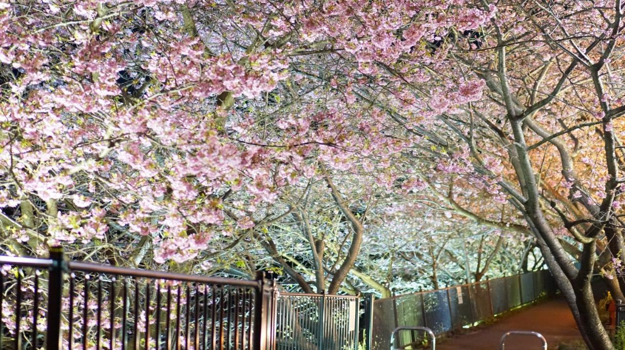 Zen No Yu Hotel Kawazu Luaran gambar